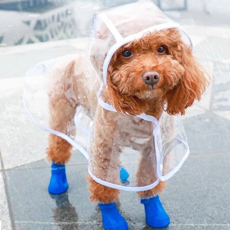 Zoe Waterproof Raincoat