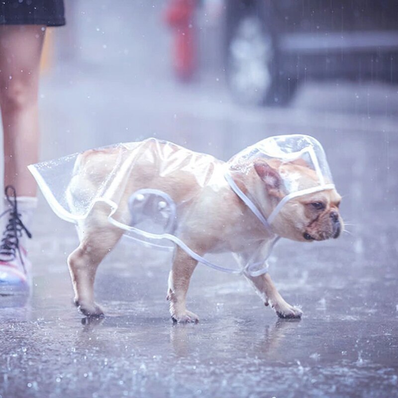 Zoe Waterproof Raincoat