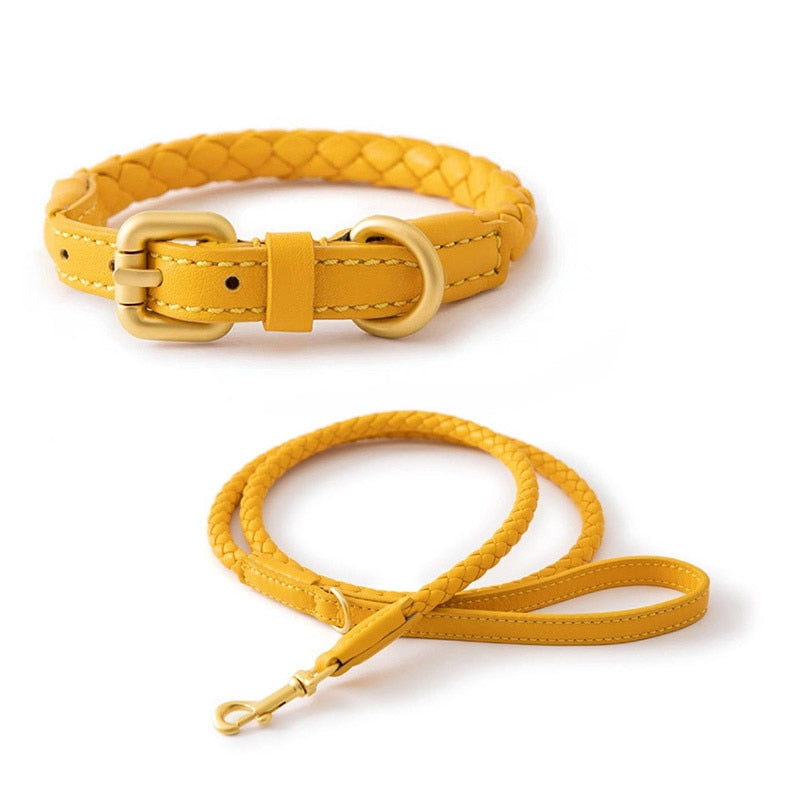 Iyla Leather Leash Set (4 Colours)