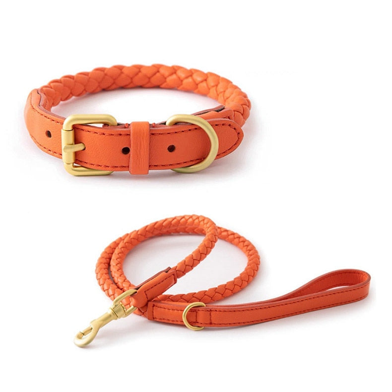 Iyla Leather Leash Set (4 Colours)