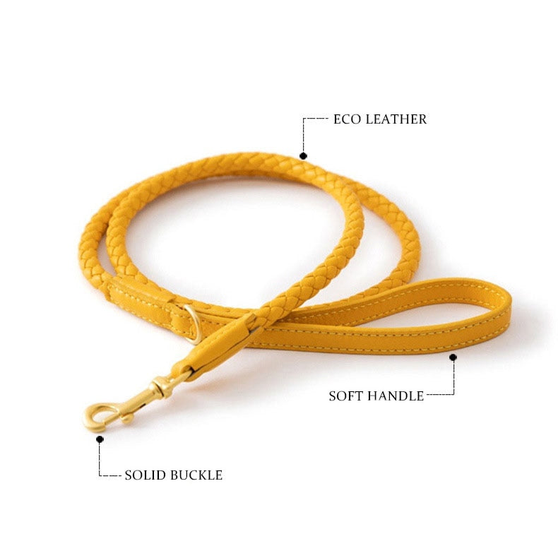 Iyla Leather Leash Set (4 Colours)